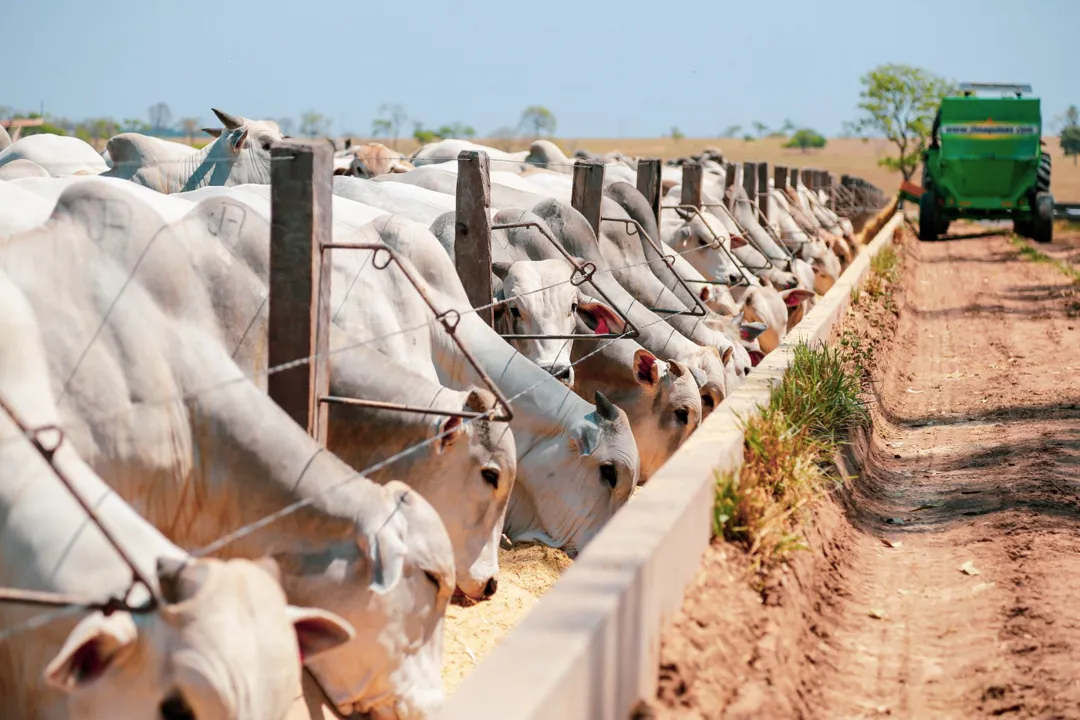 Tecnologias para intensificação da produção de bovinos serão debatidas no Pavilhão Smart Agro