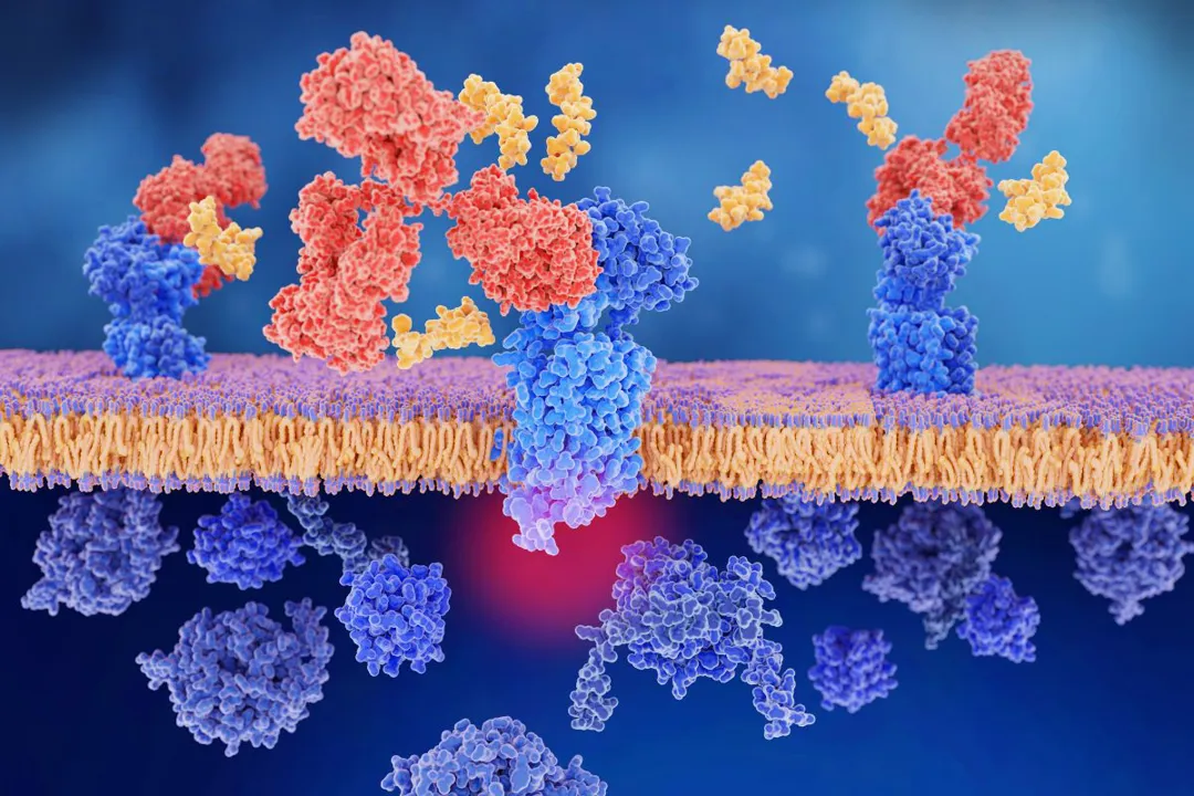 Londrina reforça protagonismo em deeptechs com tecnologia de peptídeos bioativos apresentada no Pavilhão Smart Agro