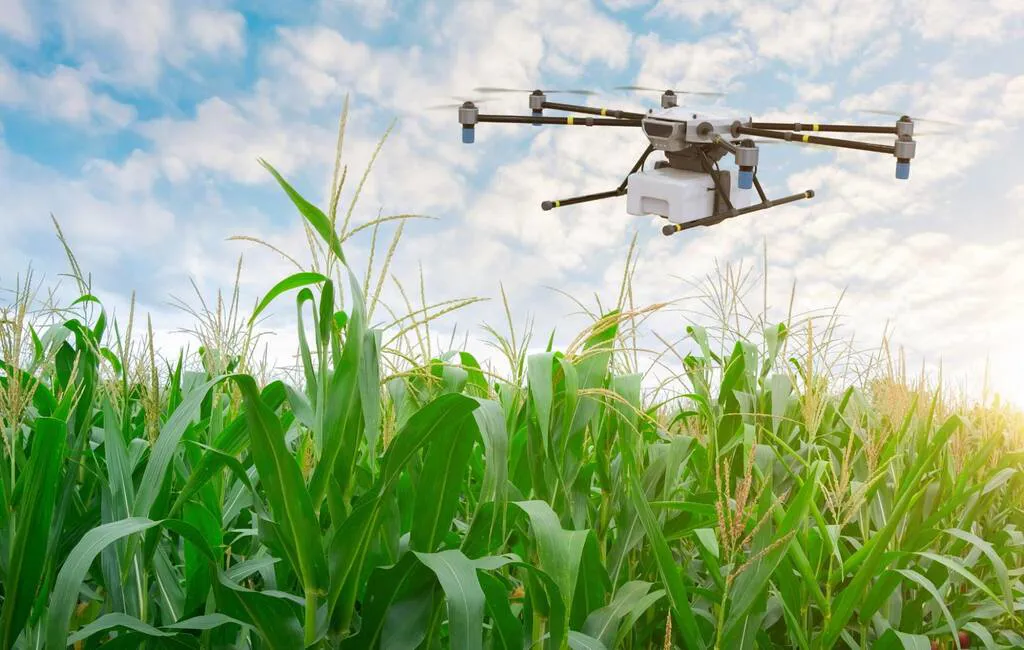 Agro Valley lidera encontro sobre territórios de inovação do agro paranaense no Pavilhão Smart Agro