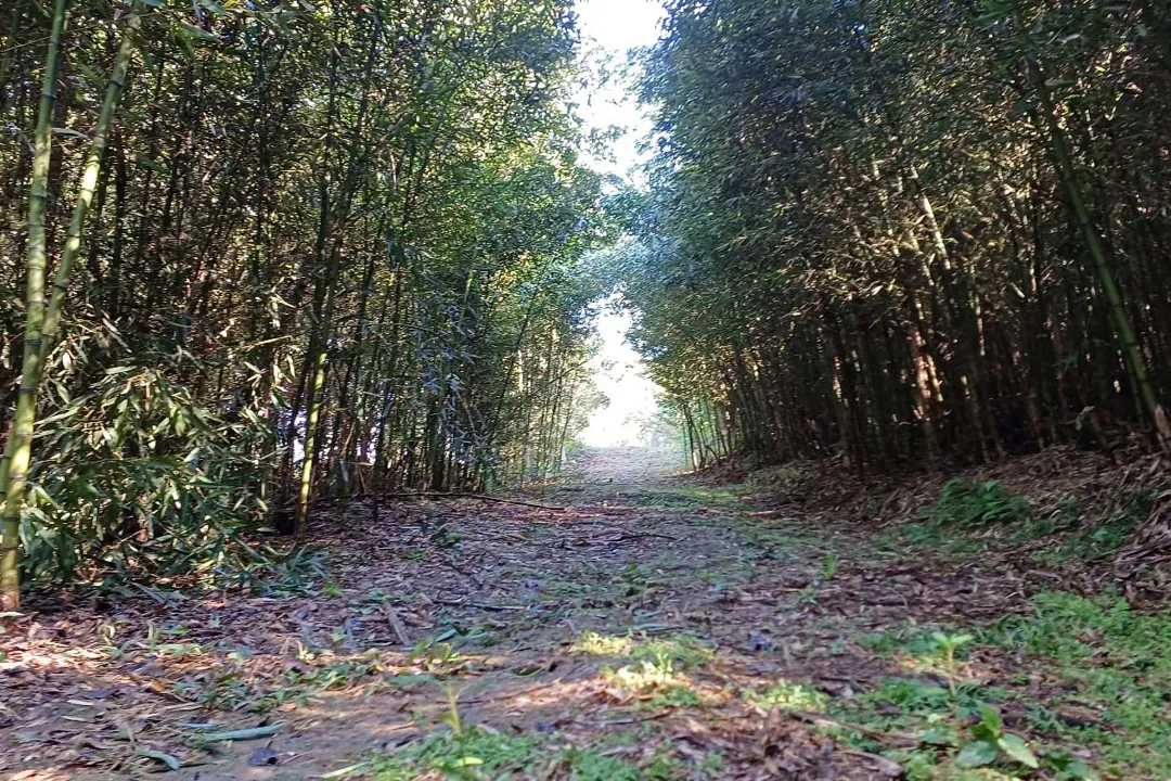 Turismo rural ganha espaço como alternativa de renda no Pavilhão Smart Agro